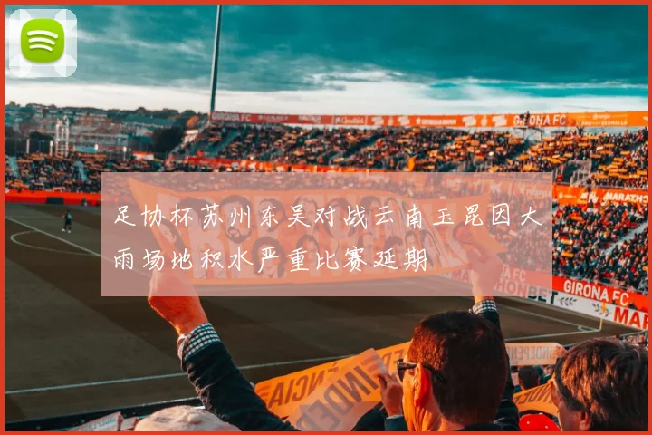 足协杯苏州东吴对战云南玉昆因大雨场地积水严重比赛延期