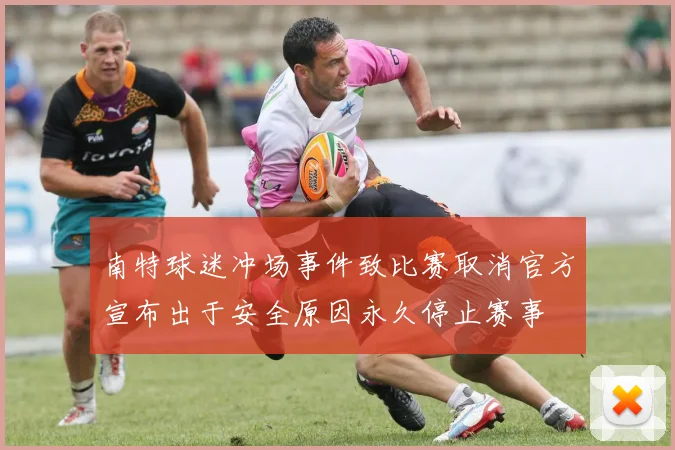 南特球迷冲场事件致比赛取消官方宣布出于安全原因永久停止赛事